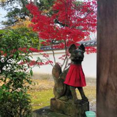 紅葉狩り 2