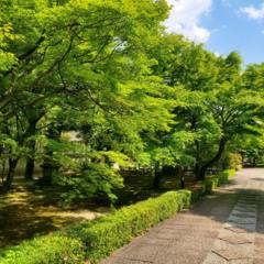 文化財保護法の施行記念日 1