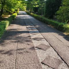 文化財保護法の施行記念日 2