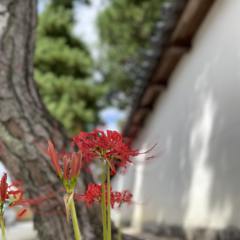 悟りの世界 3