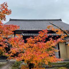 秋深し 2