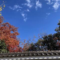 秋の色 3